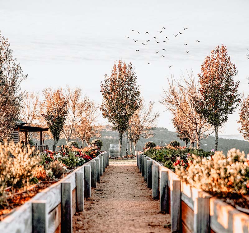  garden walk way 